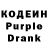 Кодеиновый сироп Lean Purple Drank Ayna Yusupovna