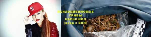 СК Бабаево