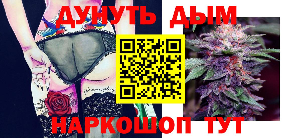 Бошки марихуана семена  Каннабис планчик  Вход с VPN  Донецк 